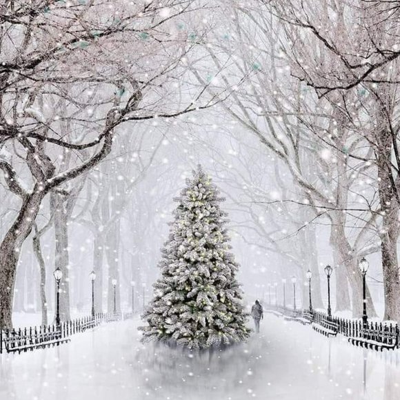 Meet your Posher, Racine - Picture 2 of 2